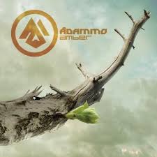 Adammo – Amber